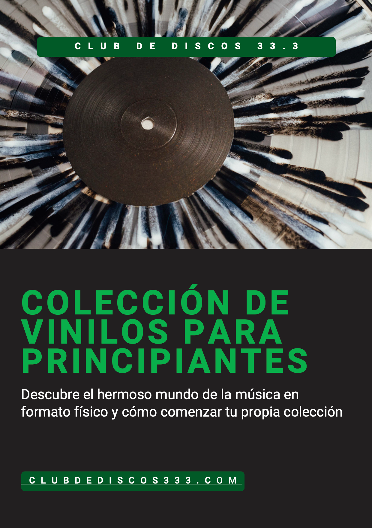 Ebook "Colección de vinilos para principiantes"