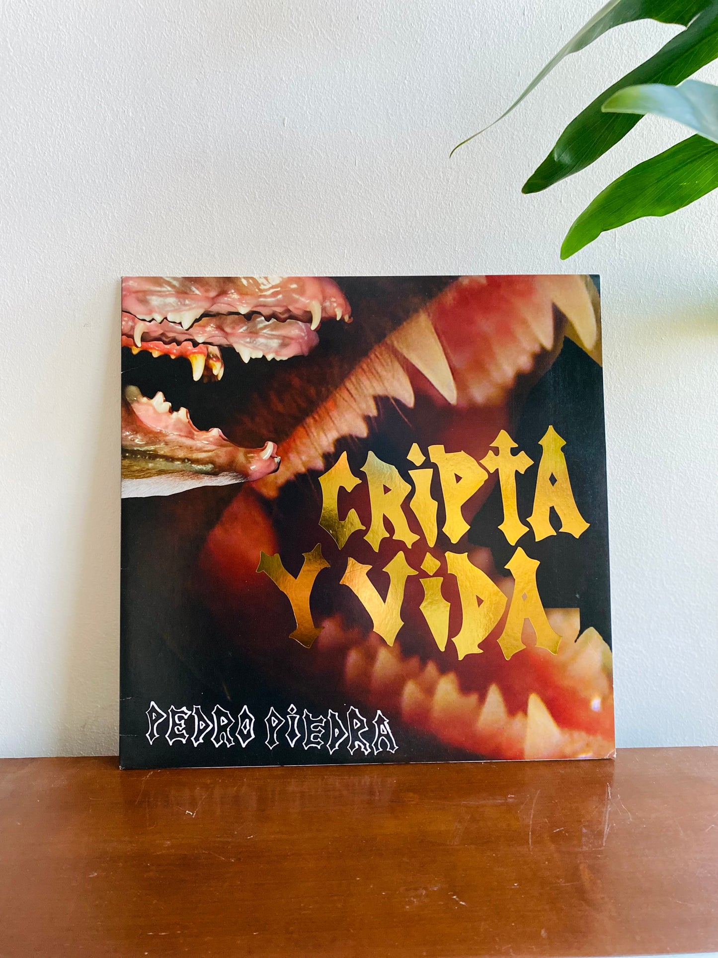 Pedropiedra – Cripta Y Vida