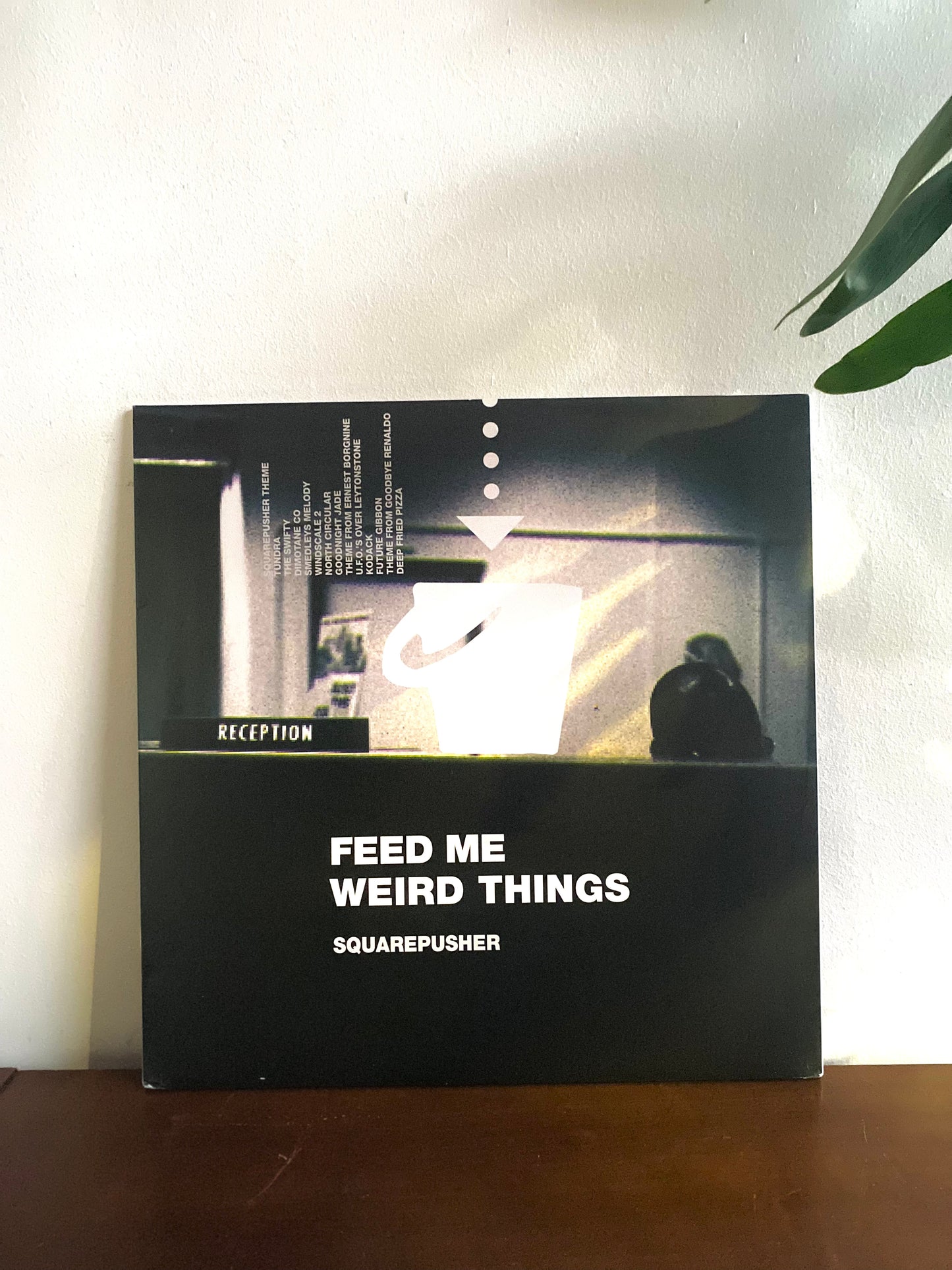 Squarepusher – Feed Me Weird Things